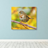 Toile Un Épervier de renard curieux dans le Blackberry B (Insitu (Plancher de Bois))