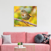 Toile Un Épervier de renard curieux dans le Blackberry B (Insitu(Salon))