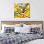 Toile Un Épervier de renard curieux dans le Blackberry B (Insitu(Chambre))