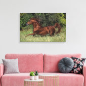 Toile Un étalon arabe coule dans l'herbe (Insitu(Salon))