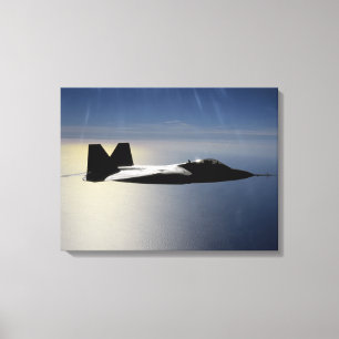 Toile Un F/A-22 Raptor pilote une mission de formation 2