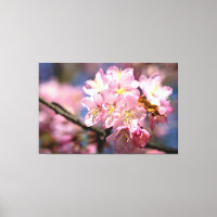 Un Festival De Fleurs De Sakura Roses Au Printemps