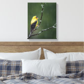 Toile Un Goldfinch malheureux (Insitu(Chambre))