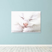 Toile Un gros plan extrême d'un très jeune blanc (Insitu (Plancher de Bois))