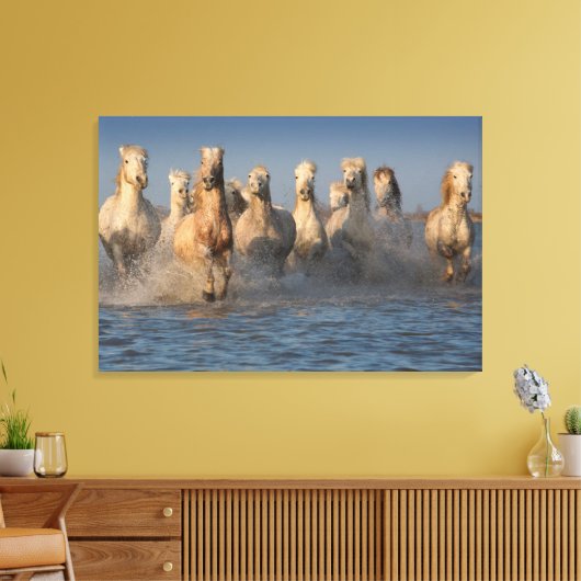 Toile Un Groupe De Chevaux Blancs En Camargue (Insitu(Salon))