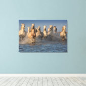 Toile Un Groupe De Chevaux Blancs En Camargue (Insitu (Plancher de Bois))