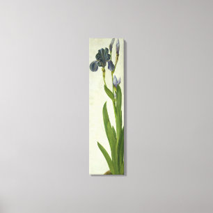 Toile Un iris