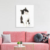 Toile Un jeune chaton assis regardant la caméra (Insitu(Salon))