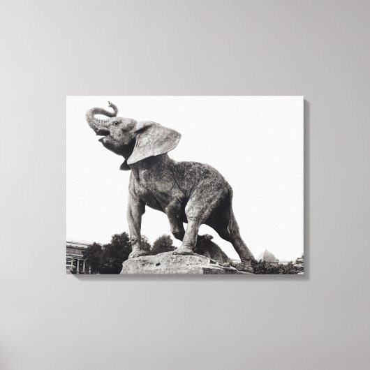 Toile Un jeune éléphant pris dans un piège (Recto)