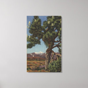 Toile Un joshua palmier en fleurs dans le désert califor