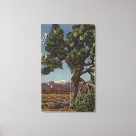 Toile Un joshua palmier en fleurs dans le désert califor (Recto)