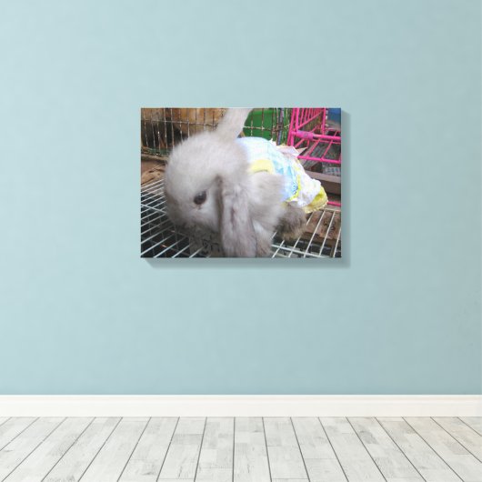 Toile Un lapin en robe (Insitu (Plancher de Bois))