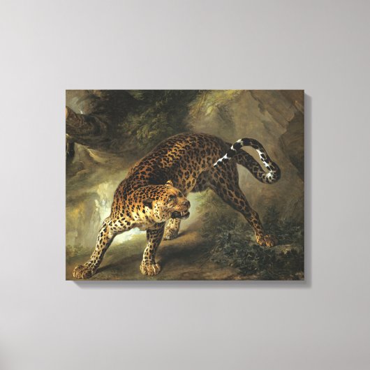 Toile Un léopard sauvage féroce (par Jean-Baptiste Oudry (Recto)
