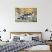 Toile Un loup noir en fuite (Insitu(Chambre))
