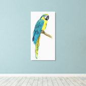 Toile Un Macaw Turquoise (Insitu (Plancher de Bois))