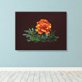 Toile Un Marigold orange avec pourboires jaunes (Insitu (Plancher de Bois))