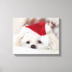 Toile Un mignon chien blanc dans un Casquette de Noël ro