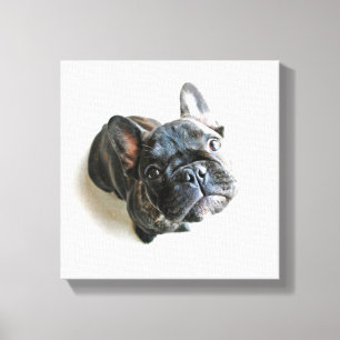 Toile Un mignon Chien-Chien-Chien Français