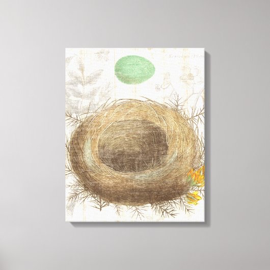 Toile Un nid d'oiseaux avec un oeuf vert (Recto)