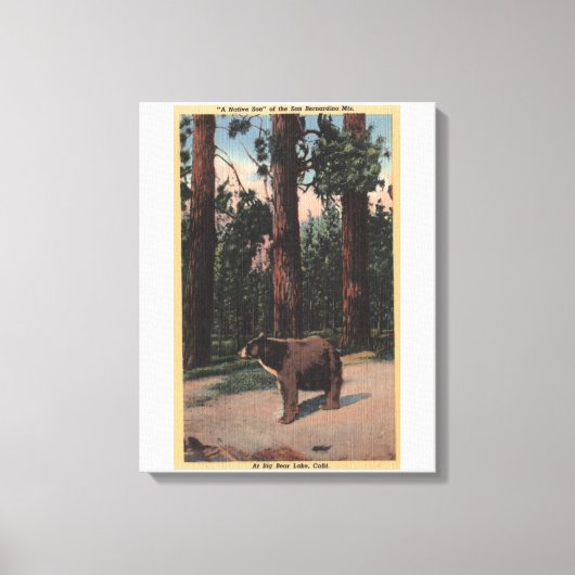 Toile Un ours Brown dans les bois (Recto)