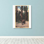 Toile Un ours Brown dans les bois (Insitu (Plancher de Bois))
