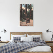 Toile Un ours Brown dans les bois (Insitu(Chambre))
