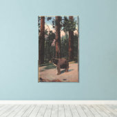 Toile Un ours Brown dans les bois (Insitu (Plancher de Bois))