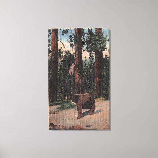 Toile Un ours Brown dans les bois (Recto)