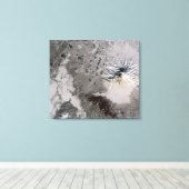 Toile Un panache riche en cendres monte (Insitu (Plancher de Bois))