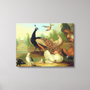 Toile Un paon, colombes, poulets et un geai en parc