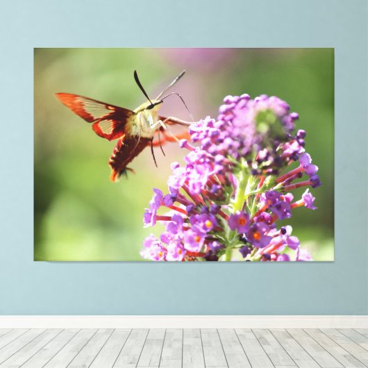 Toile Un papillon de nuit sur un papillon (Insitu (Plancher de Bois))