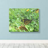 Toile Un papillon monarque (Insitu (Plancher de Bois))