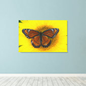Toile Un papillon vice-roi | Limenitis Archippus (Insitu (Plancher de Bois))