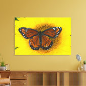 Toile Un papillon vice-roi | Limenitis Archippus (Insitu(Salon))