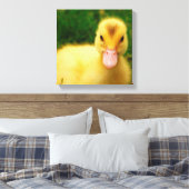 Toile Un Petit Canard (Insitu(Chambre))