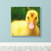 Toile Un Petit Canard (Insitu (Plancher de Bois))