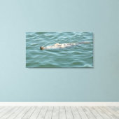 Toile Un phoque Flottant Du Soleil (Insitu (Plancher de Bois))