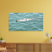 Toile Un phoque Flottant Du Soleil (Insitu(Salon))
