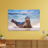 Toile Un phoque sur une plage le long de la côte Pacifiq (Insitu(Salon))