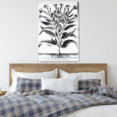 Toile Un Plante du tabac, 1622 (Insitu(Chambre))