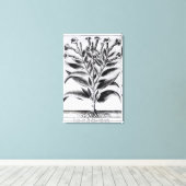 Toile Un Plante du tabac, 1622 (Insitu (Plancher de Bois))