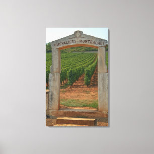 Toile Un portique en pierre du vignoble