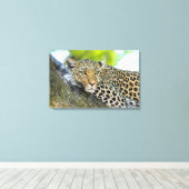 Toile Un regard de léopard (Insitu (Plancher de Bois))