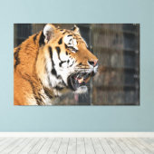 Toile Un regard de tigre (Insitu (Plancher de Bois))