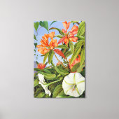 Toile Un Rhododendrum et Ipomoea de Java (Recto)