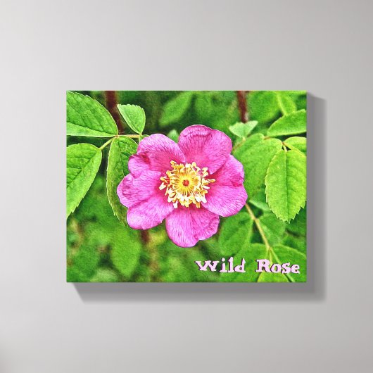 Toile Un Rose sauvage (Recto)