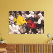 Toile Un Tang Jaune (Insitu(Salon))