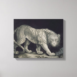 Toile Un tigre de vagabondage (crayon sur le papier)