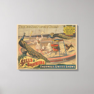 Toile Un Zébu Et Un Peacock Avec Un Entraîneur De Clown