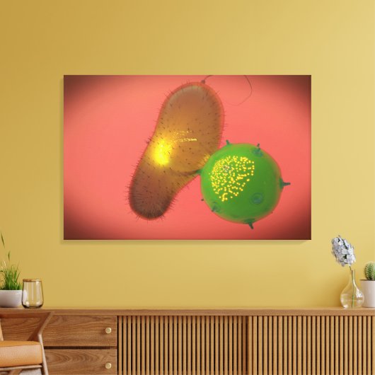 Toile Une Cellule Tueuse Naturelle Injecte La Toxine (Insitu(Salon))